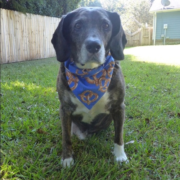 NEW Dog scarf bandana pretzels - handmade - size M - Picture 2 of 2